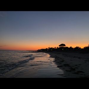 Meet your Posher, Dina